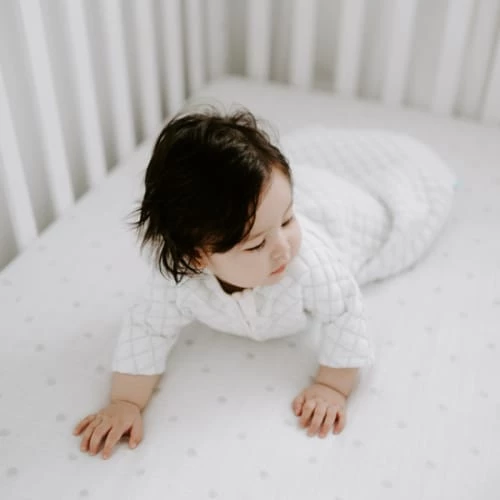 Aden + Anais Gigoteuses Gigoteuse 4 Saisons Ajustée Crème Et Mint TOG 1,5 (60 Cm) 4 Aden + Anais Gigoteuses Gigoteuse 4 Saisons Ajustée Crème Et Mint TOG 1,5 (60 Cm) – Image 2