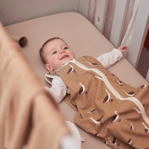 Jollein Gigoteuses Gigoteuse Légère Goose Biscuit TOG 0,5 (90 Cm) 4 Jollein Gigoteuses Gigoteuse Légère Goose Biscuit TOG 0,5 (90 Cm) – Image 2